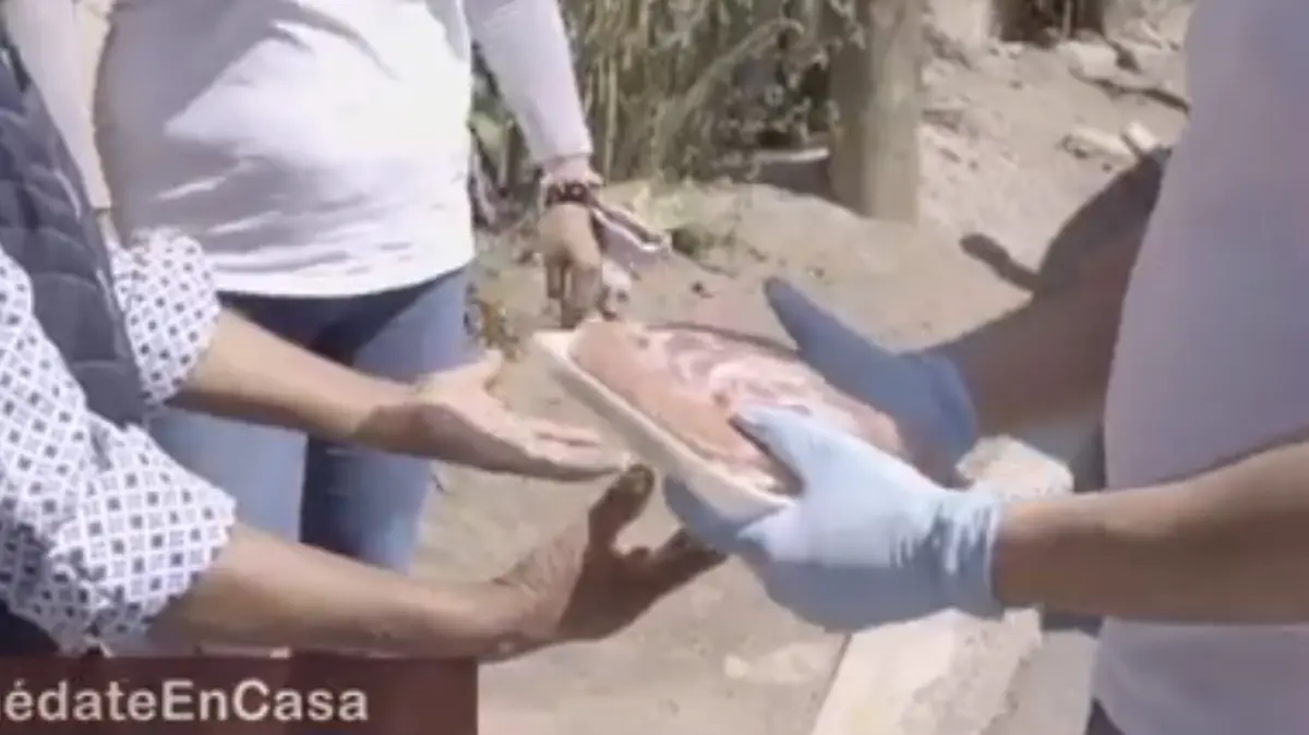ENTREGA DE CARNE