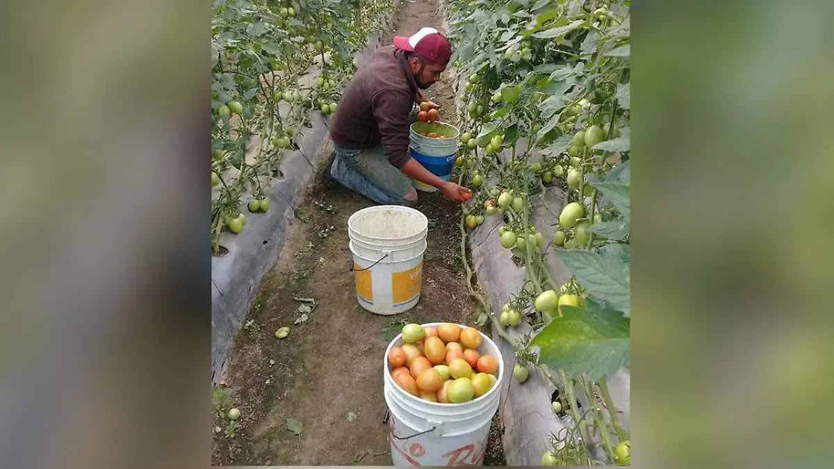 Los emprendedores generan además trabajo en la región