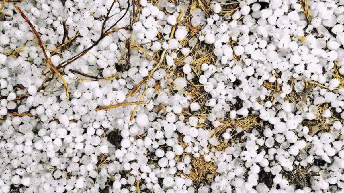 GRANIZADA MIXTECA