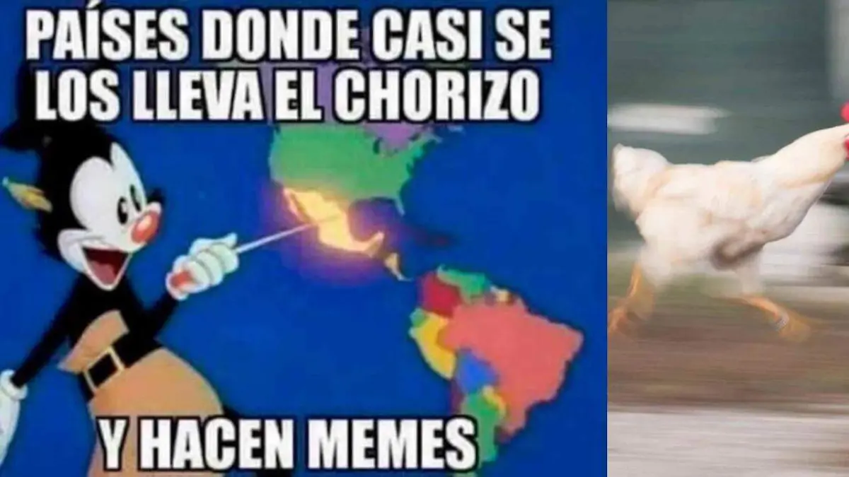 Nuevo proyecto (8)