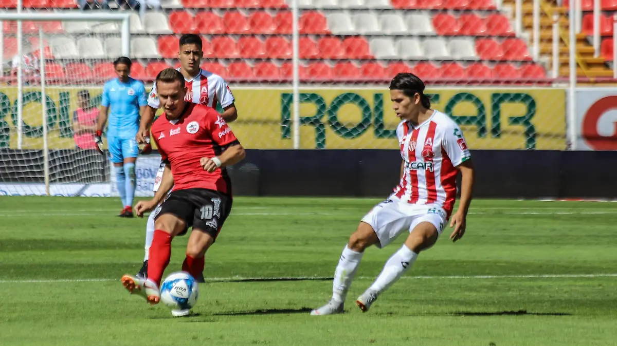 Lobos 18p byn