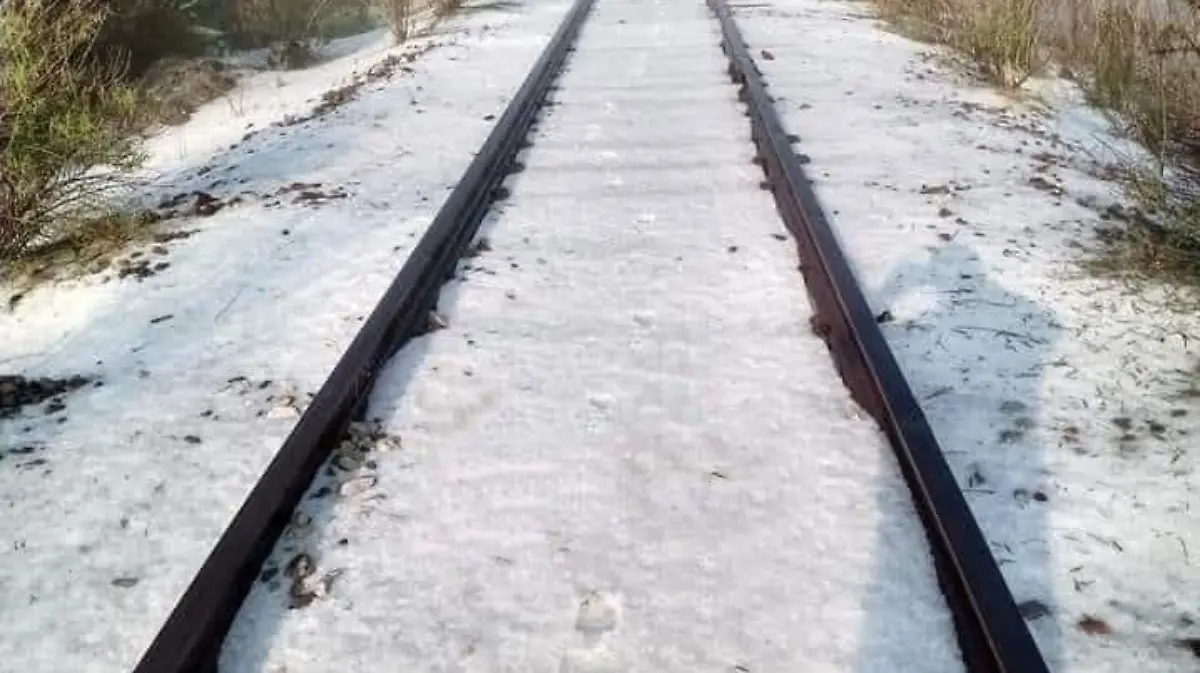 HELADA 3 - Cortesía