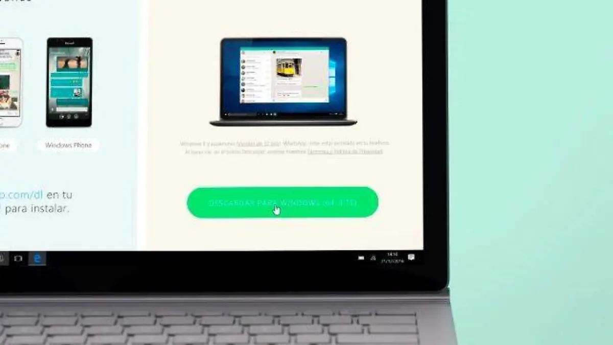WA WEB 2