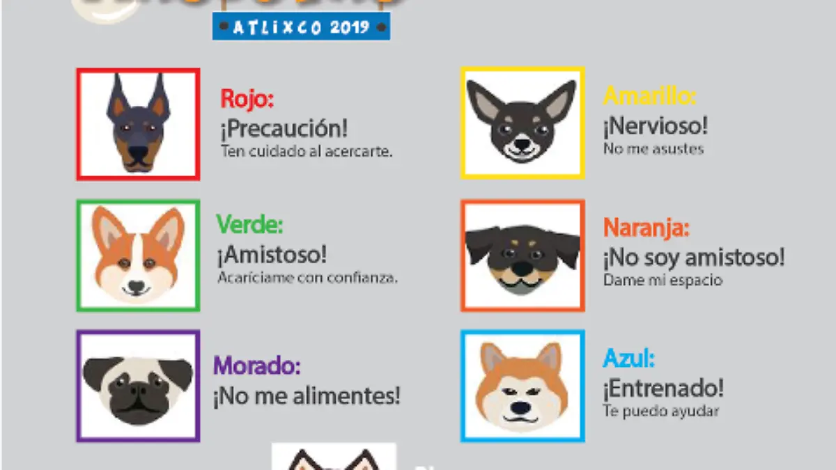 un liston para tu perro