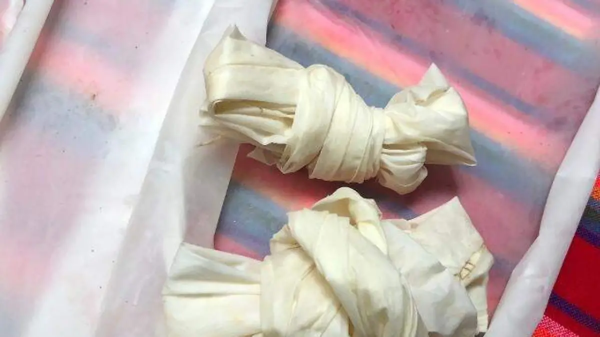 Cutícula de la penca del maguey pulquero, mixiote JMH