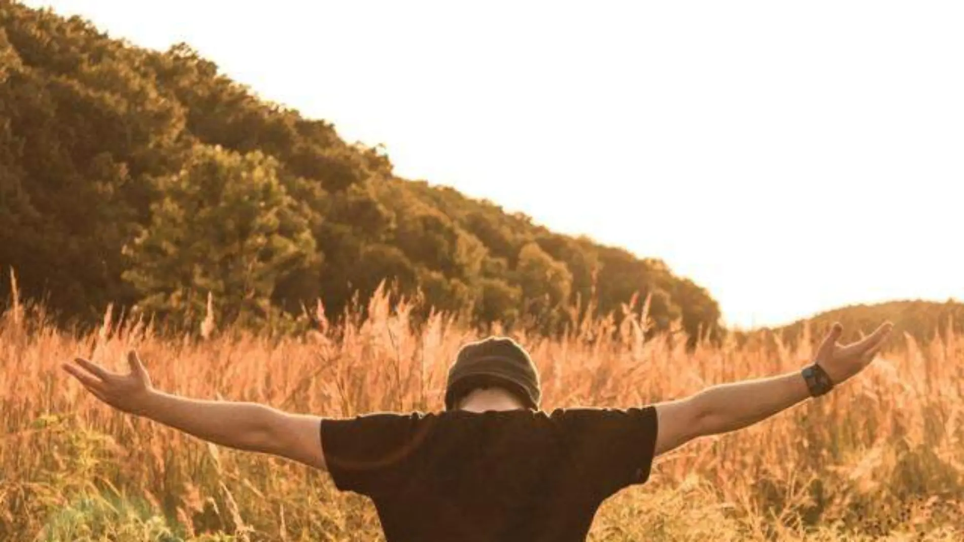 man-nature-grass-person-meadow-summer-1226728-pxhere.com