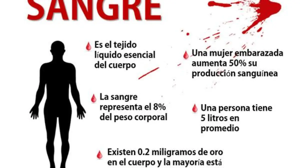 sangre