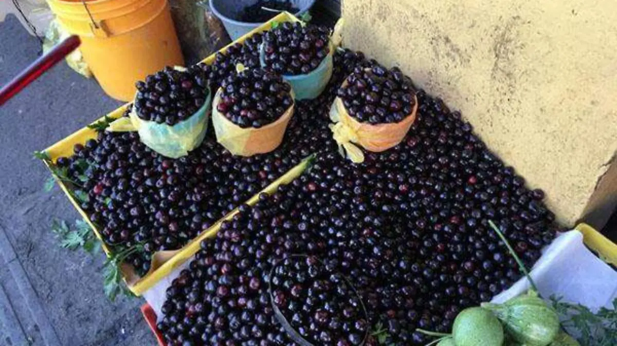 Capulines-en-la-banqueta