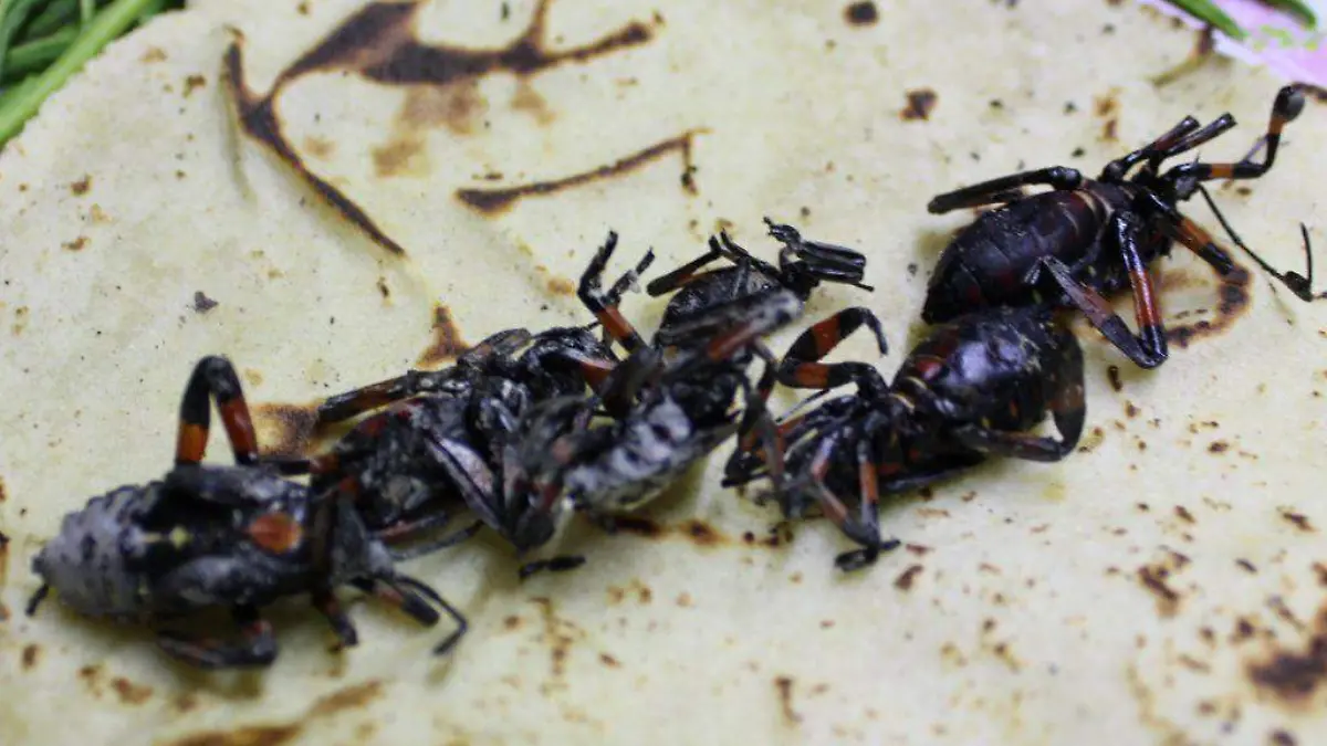 El platillo se convierte en una práctica ancestral desde la recolección de los insectos