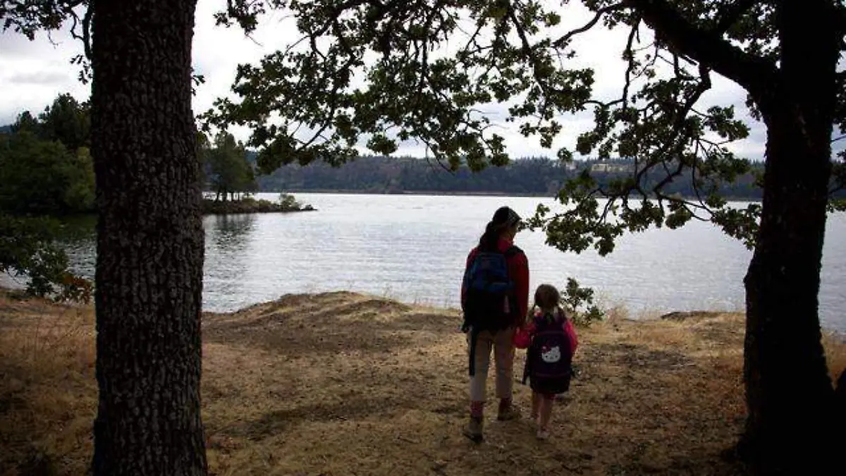 family-nature-forest-dust-river