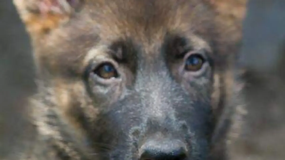 2-FOTO MAREDY LIZAOLA 2