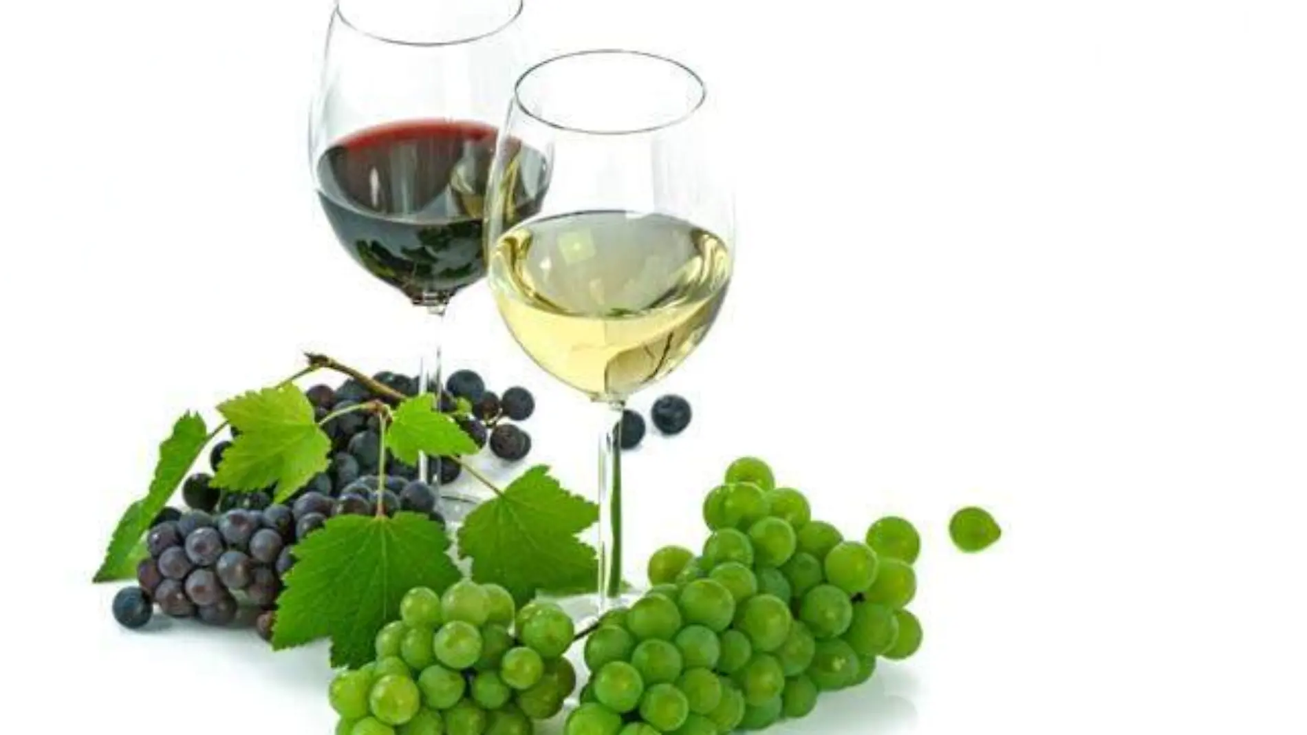 liquid-plant-grape-wine-white-fruit-796516-pxhere.com