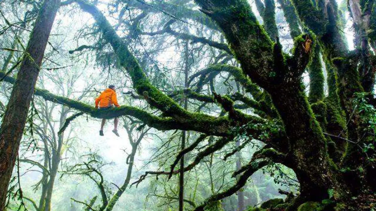 PIXNIO-204718-3534x2356