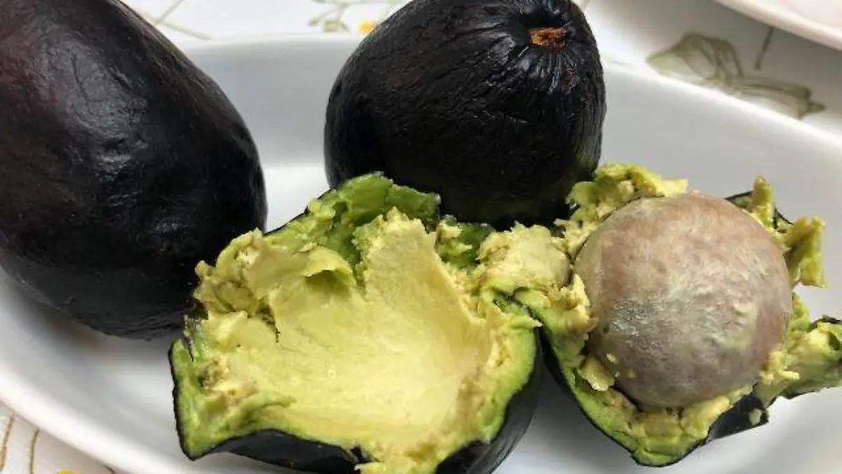 Aguacates criollos...