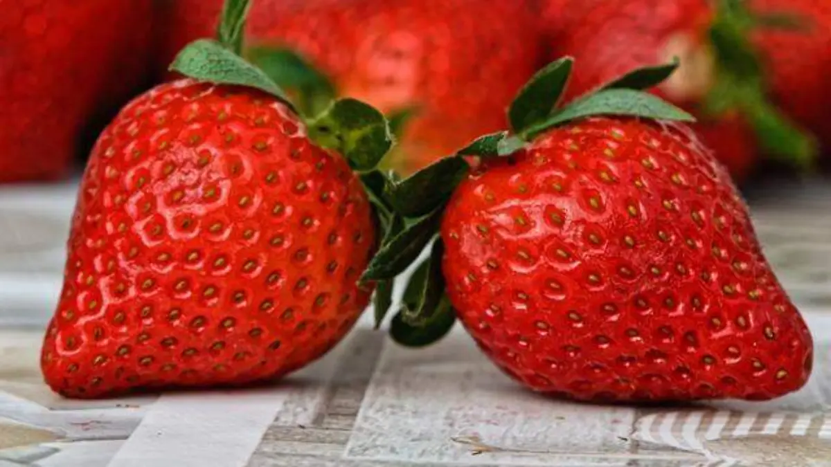Fresas