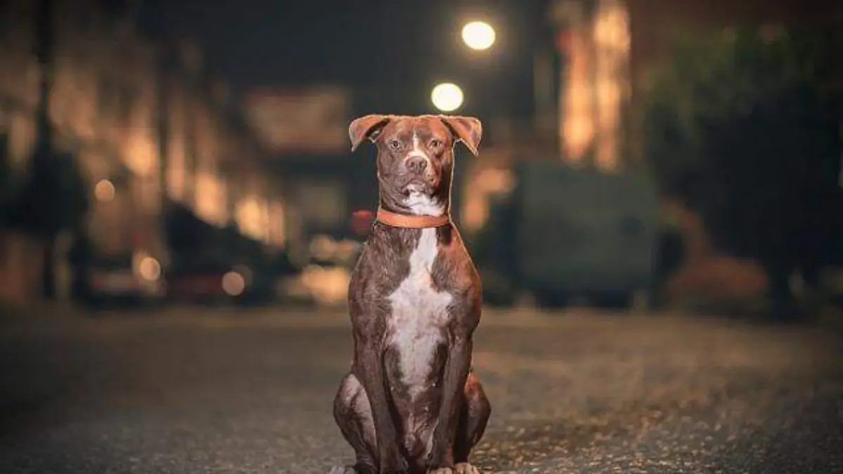 1-Roger cortesia Edgardo Gonzalez