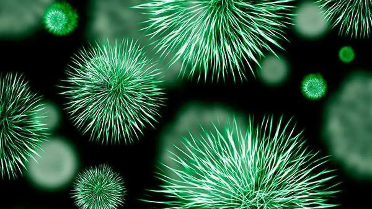Virus1