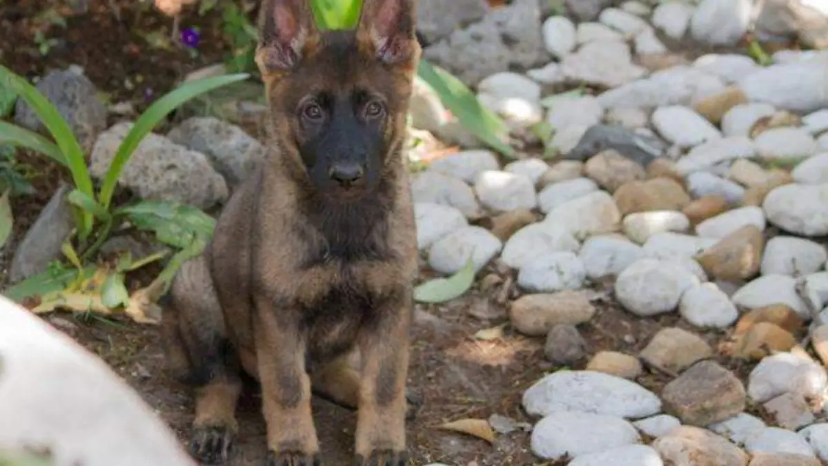 2-FOTO MAREDY LIZAOLA