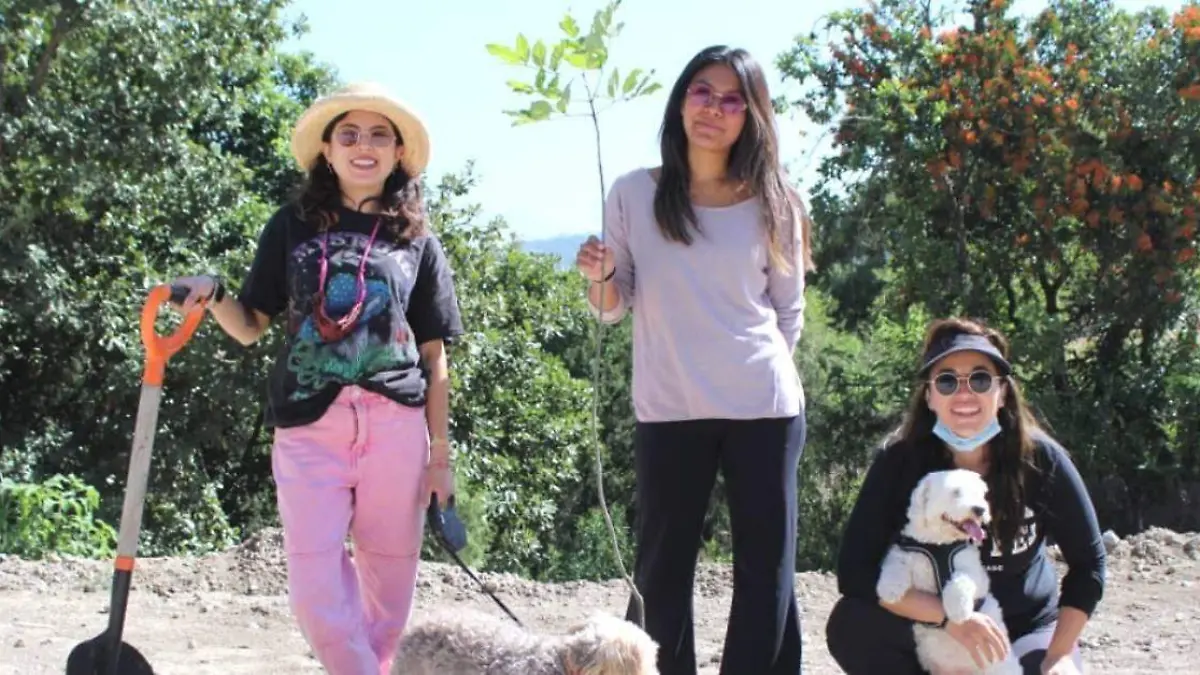 Cerca de 300 árboles fueron sembrados en el inicio de la Campaña de Reforestación 2021 de Haras Ciudad Ecológica