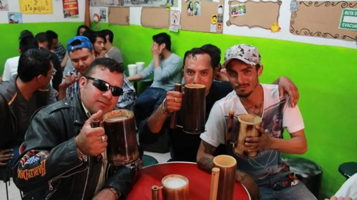 SAPITO PULQUERO EN LA 4 SUR ENTRE 7 Y 9 OTE  (11)