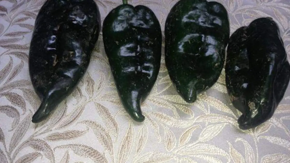 Chiles poblanos JMH