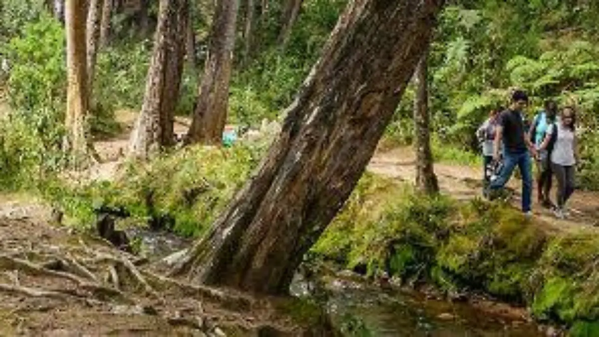 senderismo-y-caminantes-Parque-Arvi