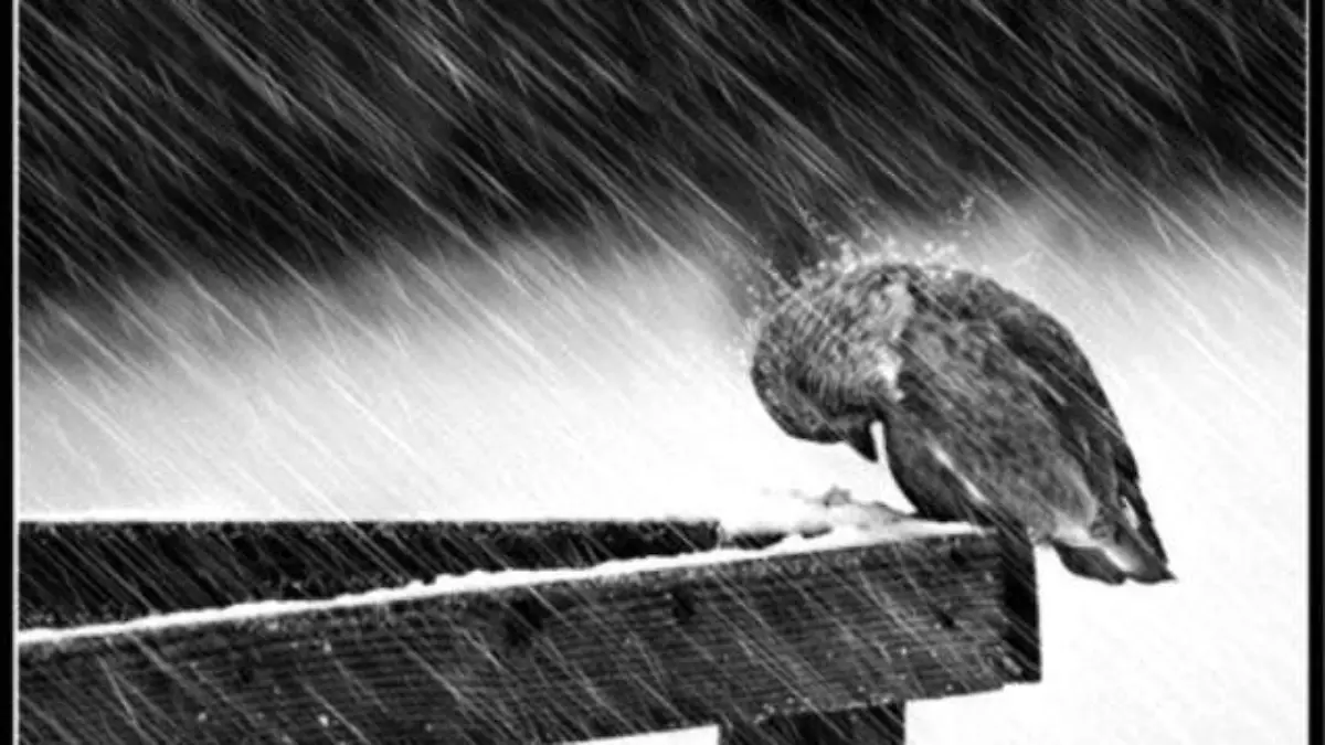 Tormenta (1)