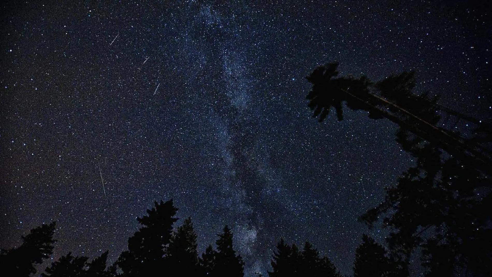 Varios meteoros de las Perseidas