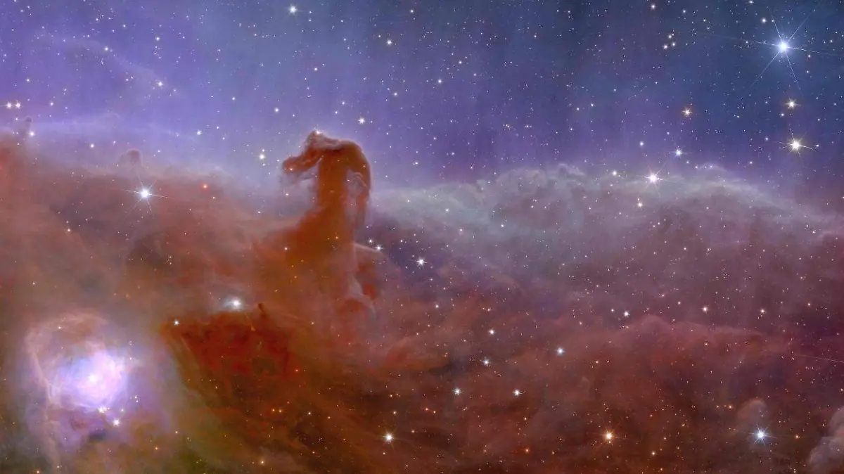 Euclid_s_view_of_the_Horsehead_Nebula