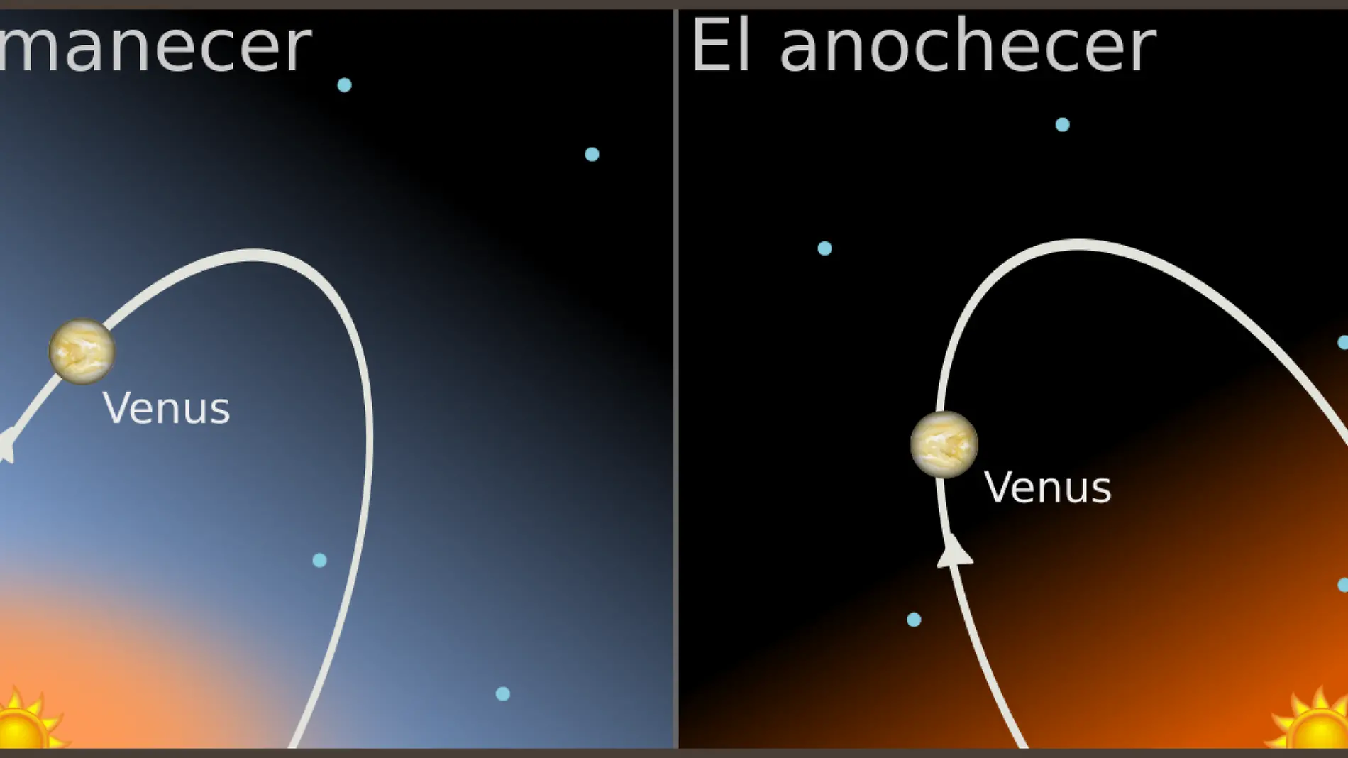 Venus antecede al Sol al amanecer o le sigue al anochecer