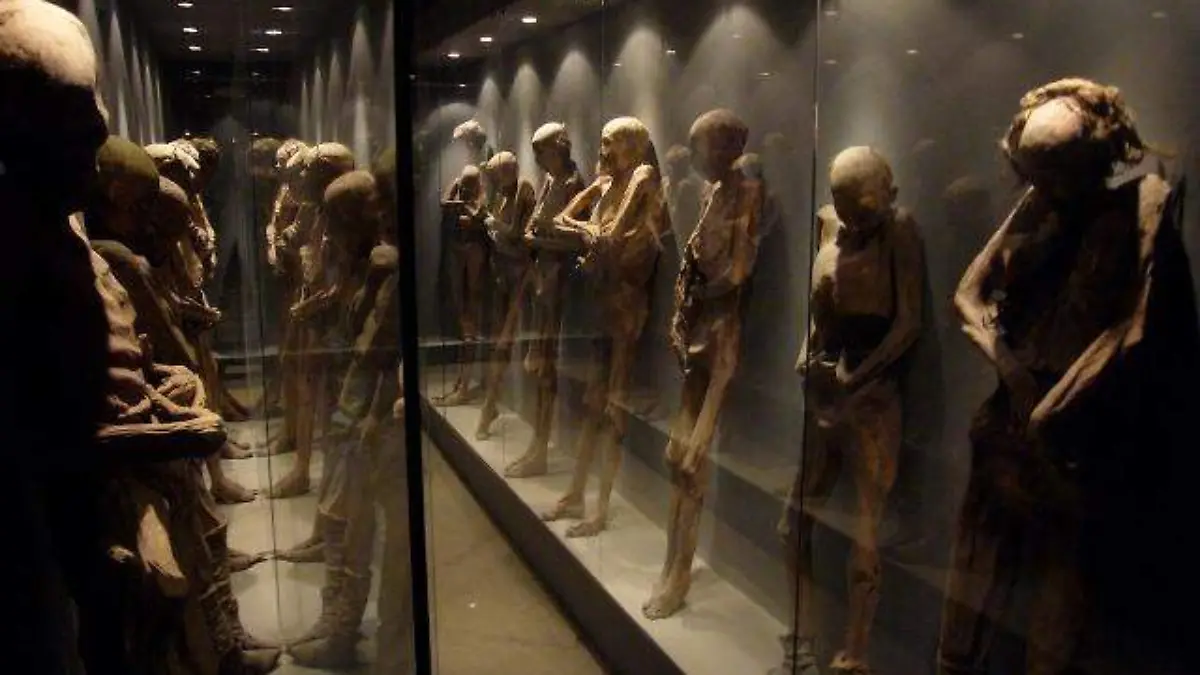 3664490090_295e1ac53e_b