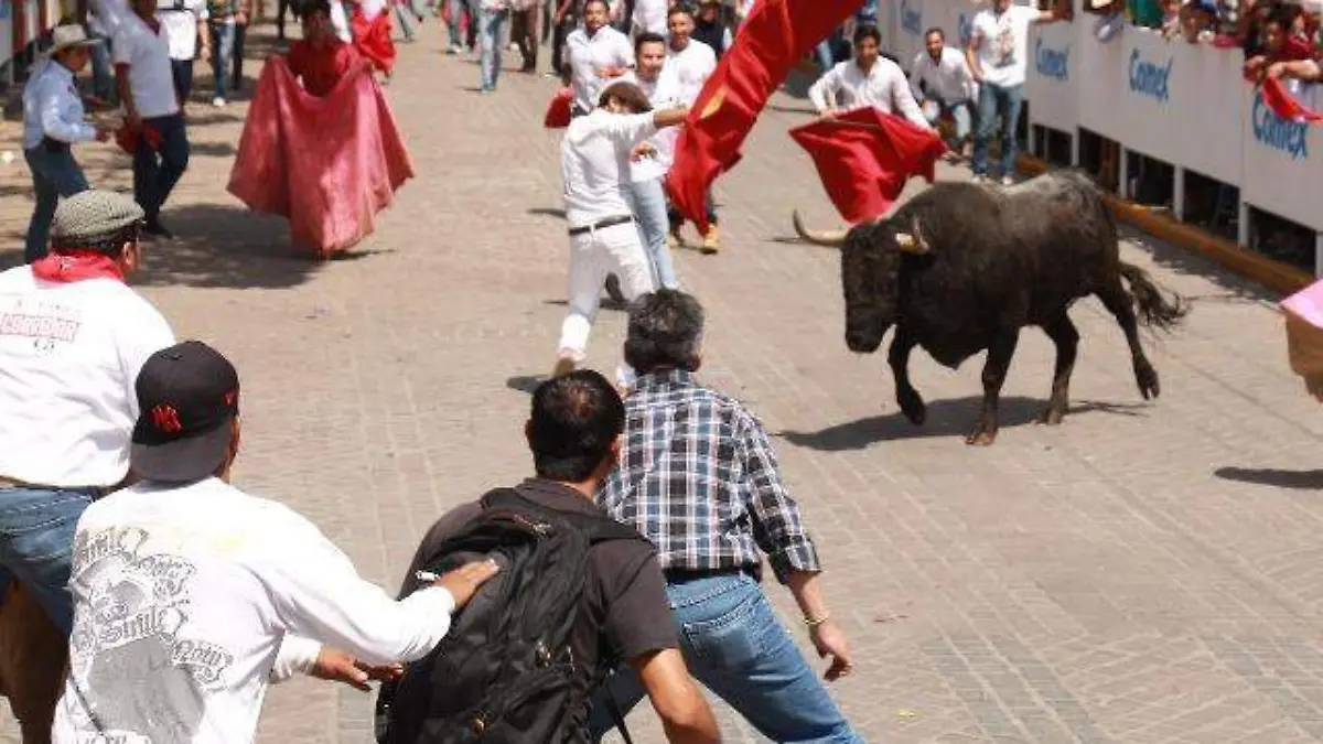 FESTIVAL MARQUESADA 2018