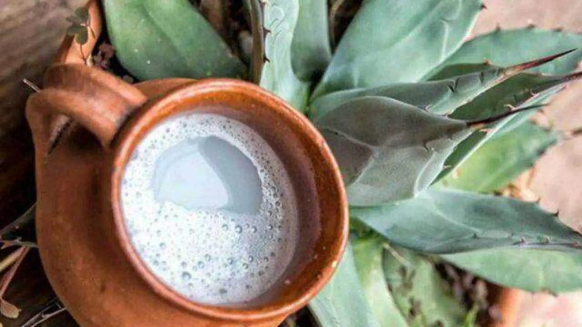 pulque