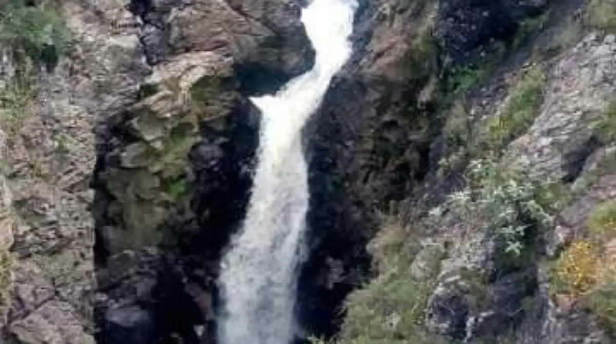 Parque eco turístico el Mogote