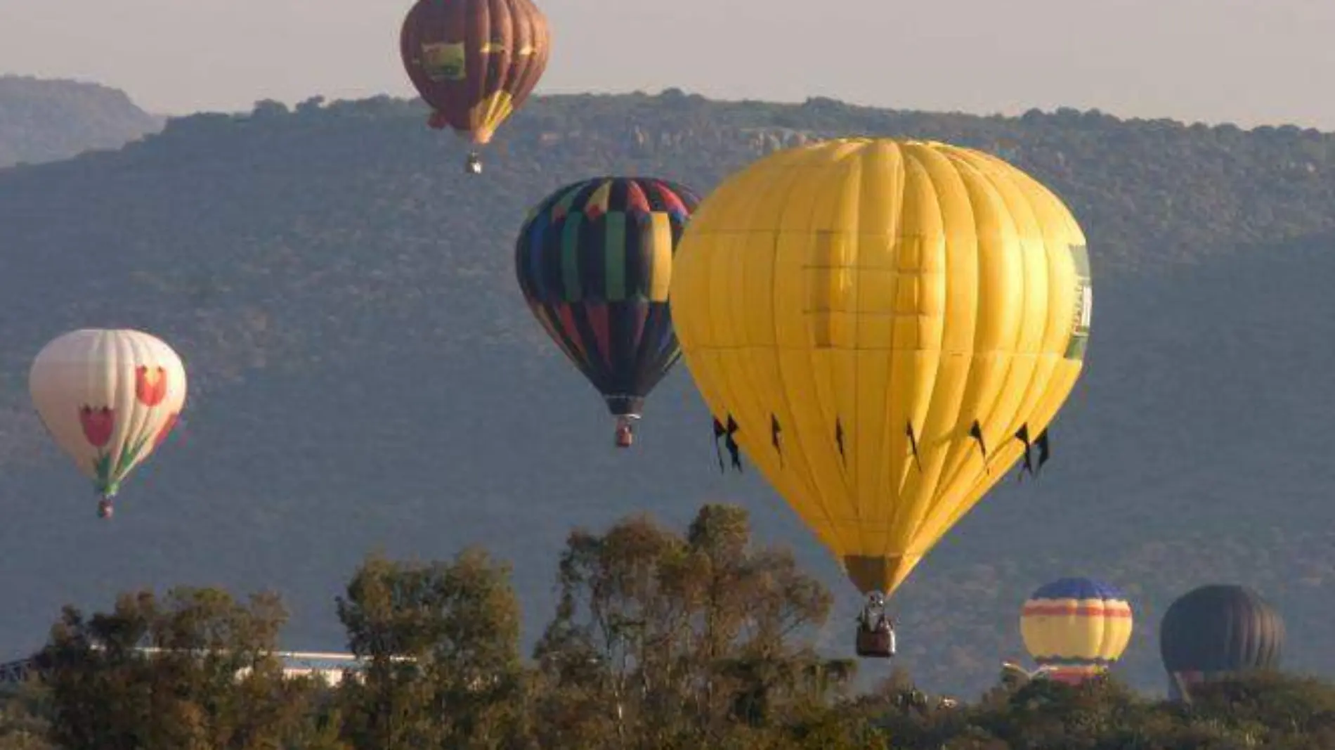 globo