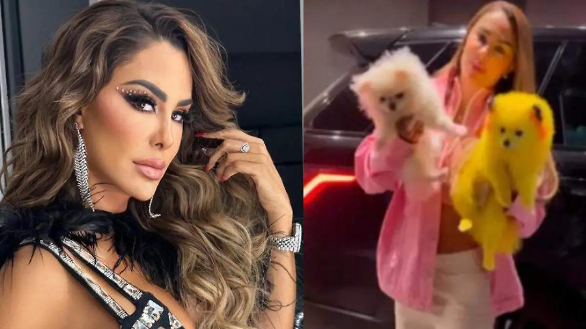 Ninel Conde es tundida en redes por exhibir a perrito pintado como Pikachu