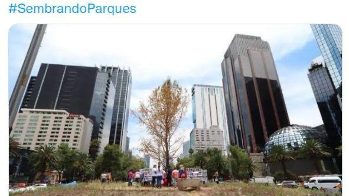 Tweets de Derbez contra Claudia Sheinbaum b