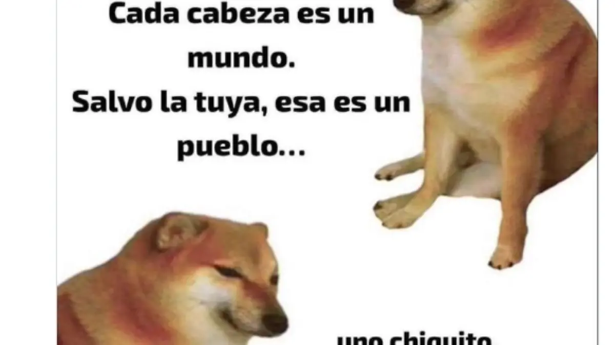 Foto: captura de pantalla