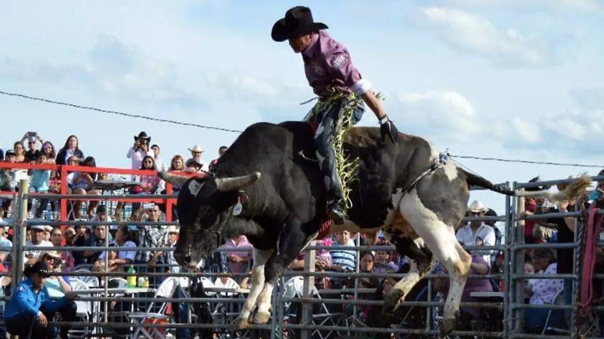 Jaripeo interior