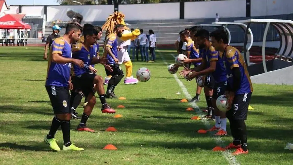 LEONES1