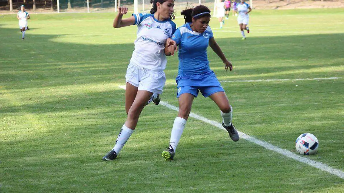 Las Borreguitas28pocolor