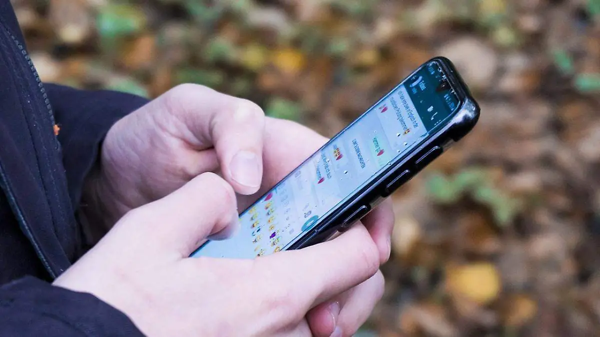La plataforma de mensajería WhatsApp se ha posicionado como una de las más importantes para la vida diaria