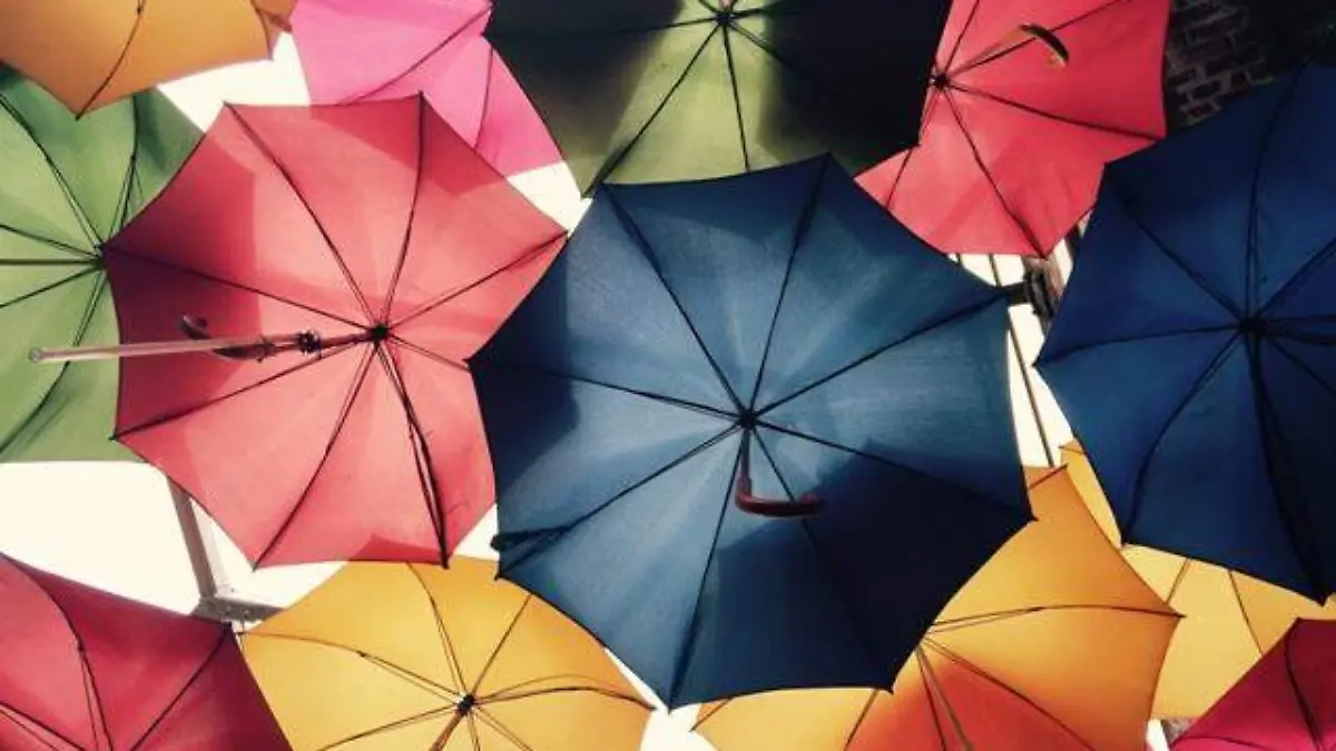 sky-wheel-rain-flower-petal-umbrella-715913-pxhere.com