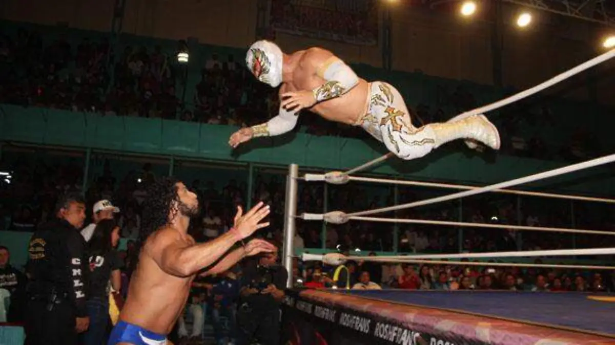 CARISTICO color  50p