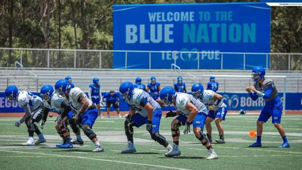 Los lanudos afinan detalles para el debut el 10 de septiembre en ONEFA