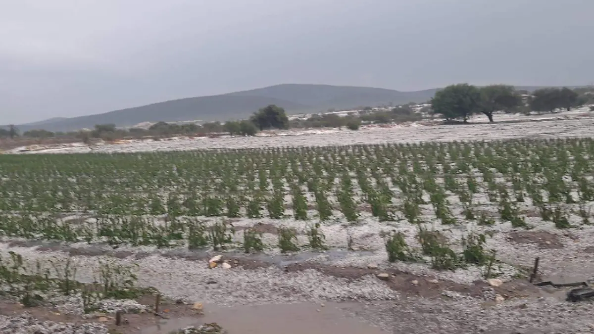 Granizada atípica en Coyotepec e Ixcaquixtla, deja varias afectaciones
