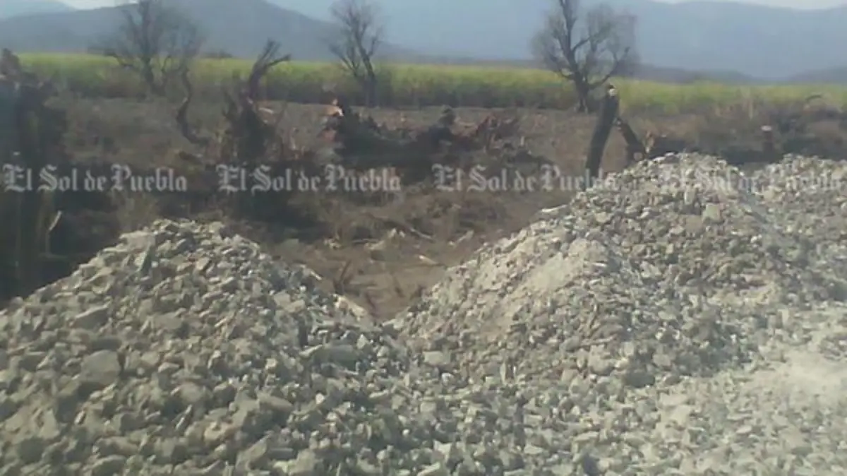 ÁRBOLES Y GRAVA IZÚCAR 2