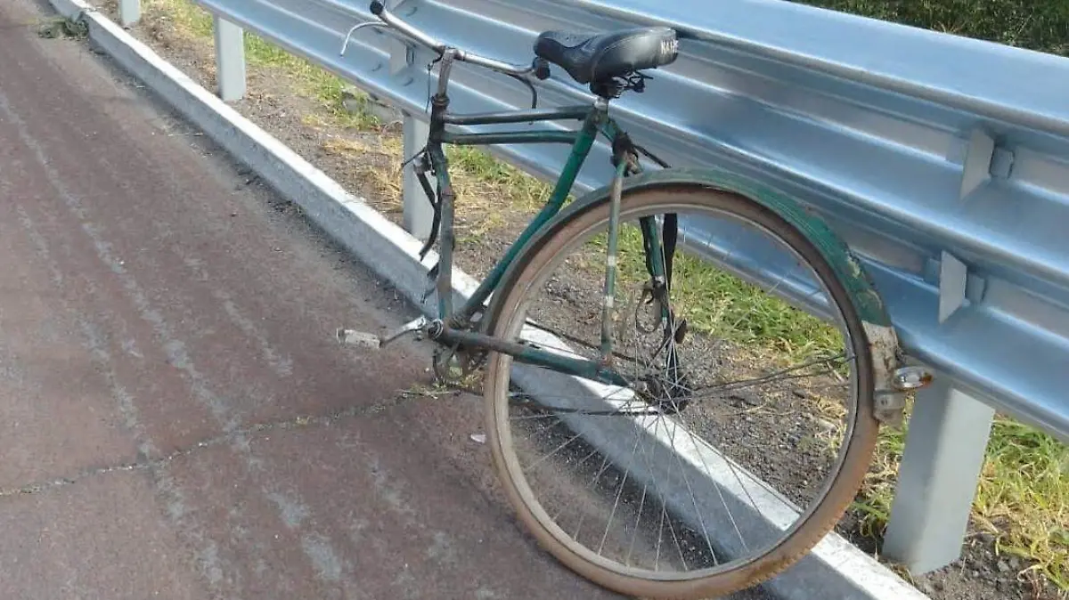 Pierde la vida atropellado en la autopista México-Puebla, responsable huyó del lugar