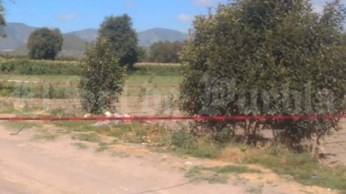 Entre terrenos de cultivo de Palmar de Bravo fue arrojado el cuerpo sin vida de un varón