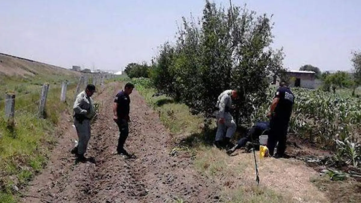 carmen-flores_toma-clandestina